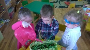 WP_20160418_026